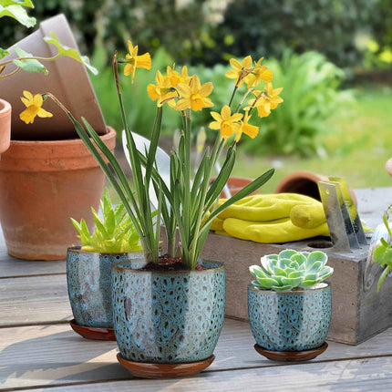 ETGLCOZY Ceramic Planter Pot with Drainage Hole and Saucer, 5.5/5/4.1 inch Flowe