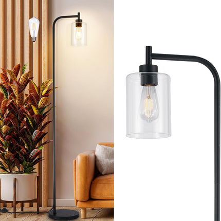 DLLT Floor Lamp Tall for Room: Black Standing Lamp with Clear Glass Lampshade fo