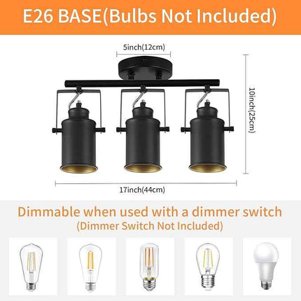 SEEBLEN Kitchen Track Lighting Fixtures Ceiling,3 Light Wall/Ceiling Light with