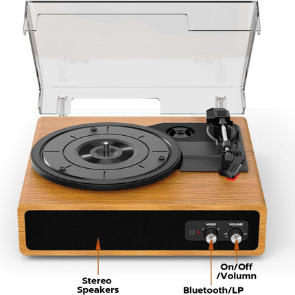Record Player, FYDEE Vinyl Record Player with Built-in 2 Stereo Speakers, 3-Spee