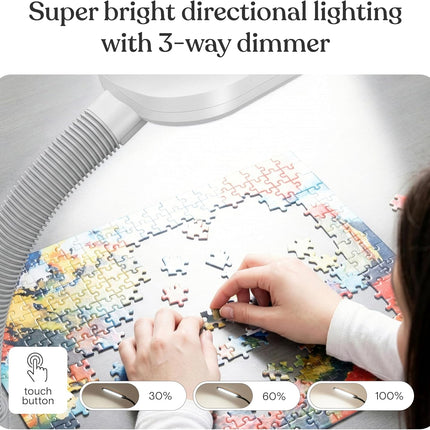 Brightech Litespan LED Floor Reading Lamp, 12W 850-950 Lumens Daylight Gooseneck Standing Light for Crafts & Over Chair