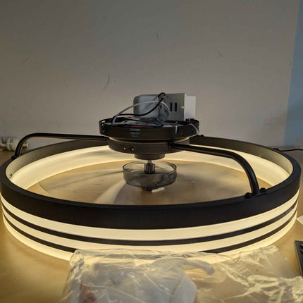 Ltemziiy Ceiling Fans with Lights and Remote, 19.7" Low Profile Flush Mount Ceil