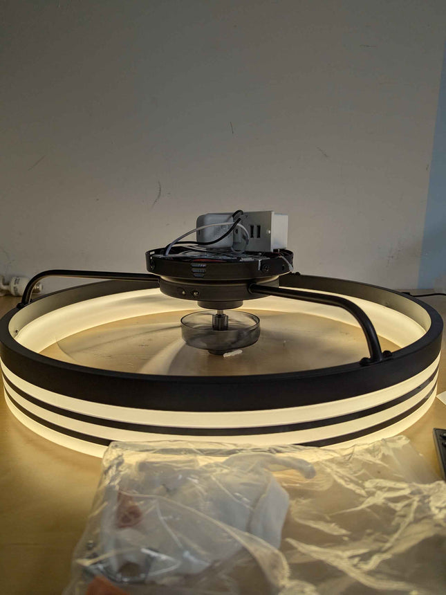 Ltemziiy Ceiling Fans with Lights and Remote, 19.7" Low Profile Flush Mount Ceil