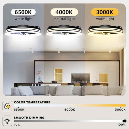 Ltemziiy Ceiling Fans with Lights and Remote, 19.7" Low Profile Flush Mount Ceil