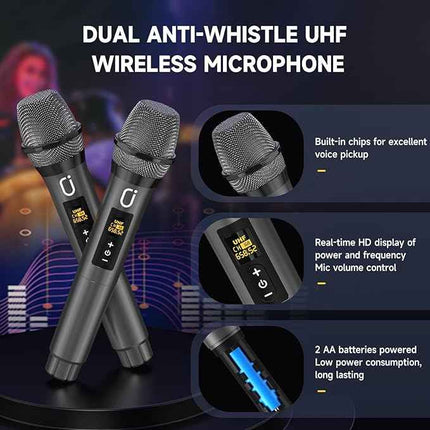 (No remote) Karaoke Machine, Portable Bluetooth Karaoke Speaker with 2 Wireless