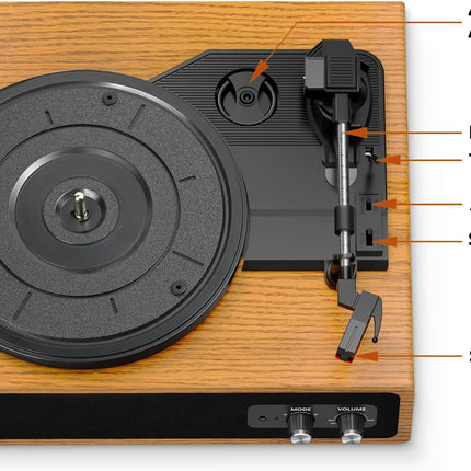 Record Player, FYDEE Vinyl Record Player with Built-in 2 Stereo Speakers, 3-Spee