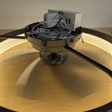 Ltemziiy Ceiling Fans with Lights and Remote, 19.7" Low Profile Flush Mount Ceil