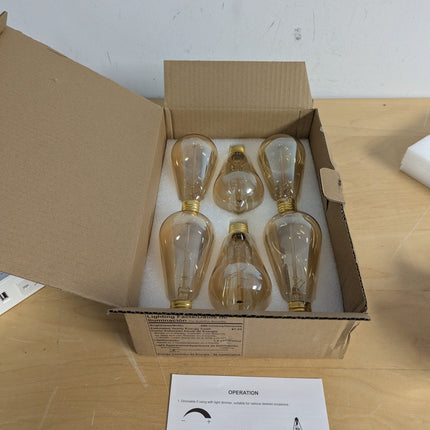 HESSION 6-Pack Edison Light Bulbs, 60w Vintage Edison Bulb, Squirrel Cage Filame