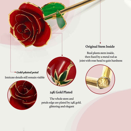 Easegain Gold Dipped Rose 24k Red Gold Plated Rose - Everlasting Long Stem Real