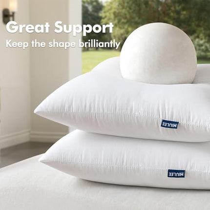 MIULEE Pack of 2 Pillow Insert 20x20 Inches Outdoor Waterproof Throw Pillow Inse