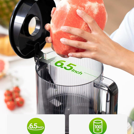 TUUMIIST Cold Press Juicer Machine, 350W Slow Masticating Juicer with 6.5 in Wide Feed Chute & 100 oz Hopper