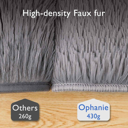 Ophanie Rugs For Living Room 4 x 6 ft