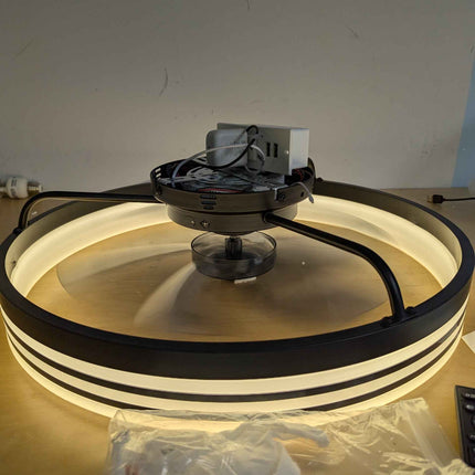 Ltemziiy Ceiling Fans with Lights and Remote, 19.7" Low Profile Flush Mount Ceil
