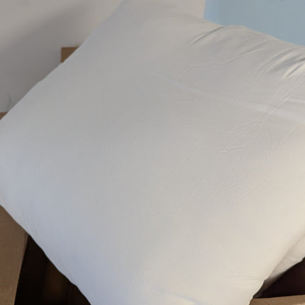 MIULEE Pack of 2 Pillow Insert 20x20 Inches Outdoor Waterproof Throw Pillow Inse