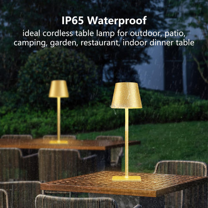 2 Pack Gold Rechargeable Table Lamps,Cordless Lamp with 6000mAh Battery Operated