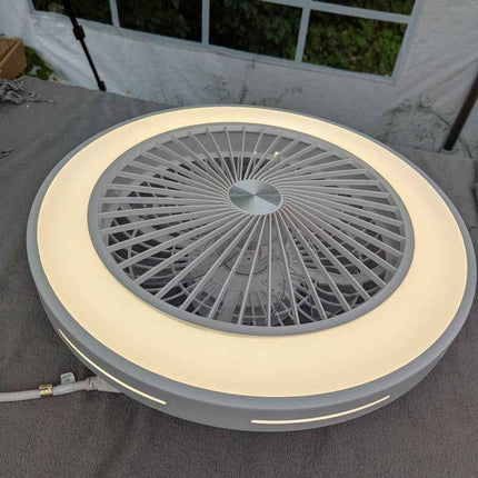 Fan Ceiling Light Ceiling Fan with LED Lighting and Remote Control 40W Ventilato