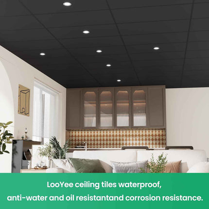 LooYee 24 PCS 24 x 24 Inch Black Drop Ceiling Tiles, 2 x 2FT PVC Smooth Ceiling