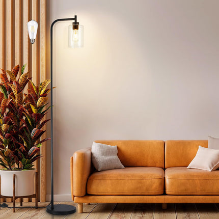 DLLT Floor Lamp Tall for Room: Black Standing Lamp with Clear Glass Lampshade fo