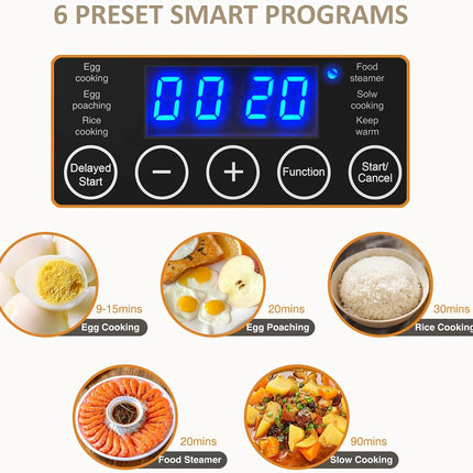 2 Tiers Mini Electric Food Steamer for Cooking, 4 QT Digital Multi Vegetable Ste