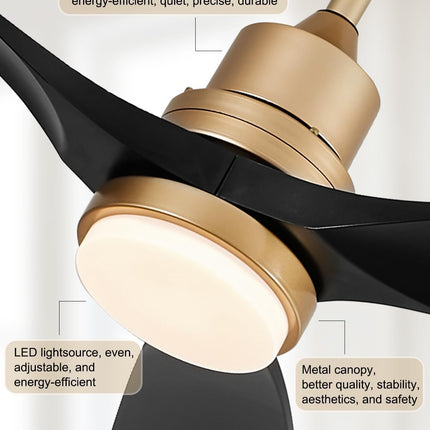 Forrovenco 52 Inch Ceiling Fan with Lights and Remote, White & Gold