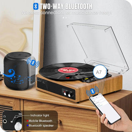 Record Player, FYDEE Vinyl Record Player with Built-in 2 Stereo Speakers, 3-Spee