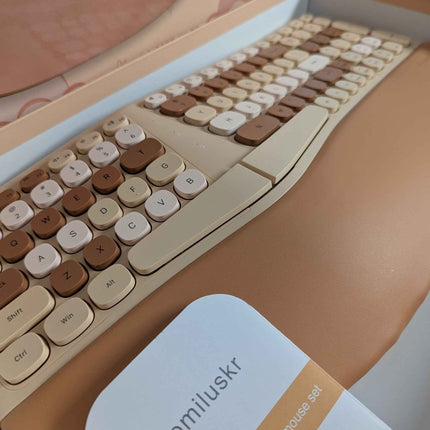 Wireless Ergonomic Keyboard and Mouse Combo, Split Keyboard, Stain-Resistant Com