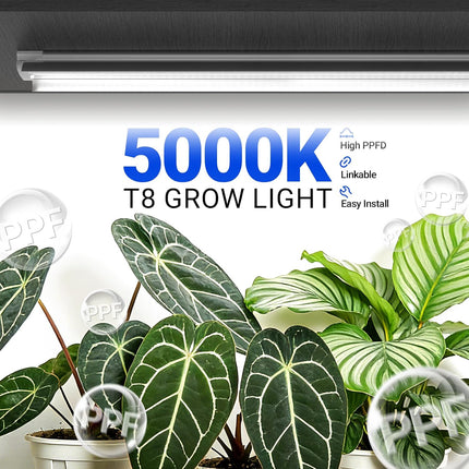 Barrina T8 4 ft full spectrum grow light, 4 pack