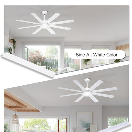 Phylluz 60 inch ceiling fan with light