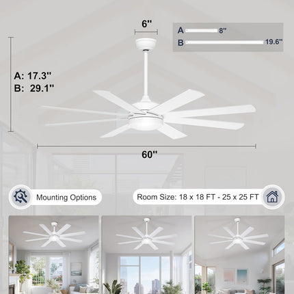 Phylluz 60 inch ceiling fan with light