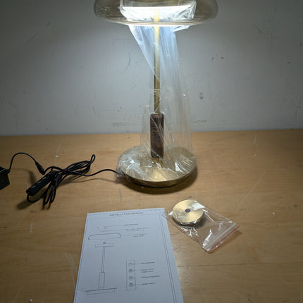 Actual unit: WTHTNROM lamp with cord and instructions